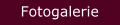 Fotogalerie