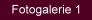 Fotogalerie
